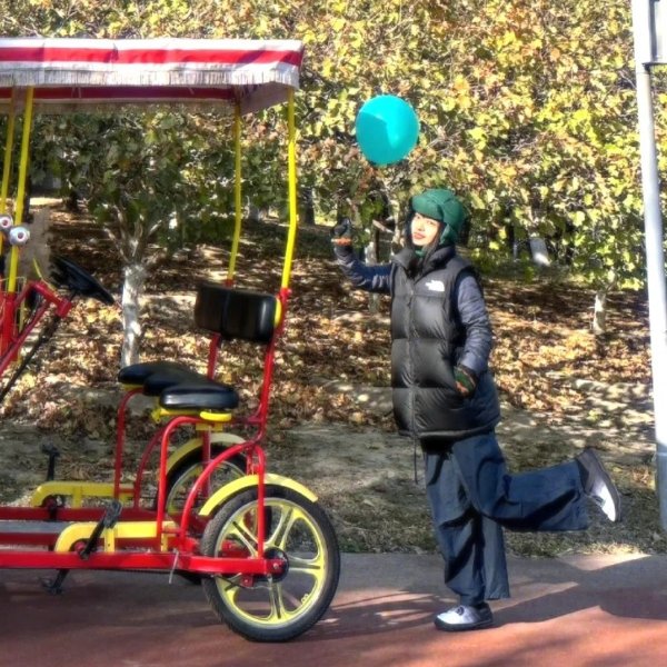 The North Face 1996 羽绒马甲