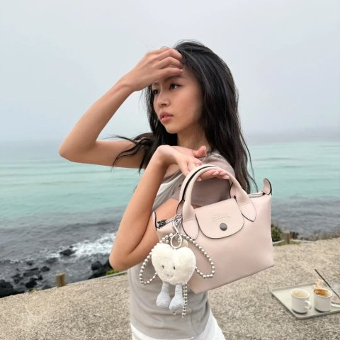 Le Pliage Xtra S裸色皮革手袋