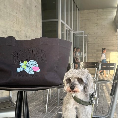 Black Puppy 大号托特包