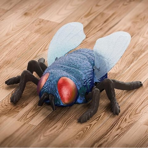 TERRA by Battat 遥控仿真苍蝇 RC Fly 爬墙小虫，5岁+恶作剧神器
