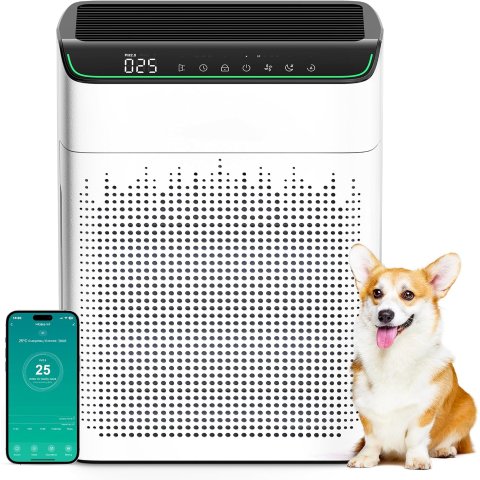 MERONTE 空气净化器 智能监测