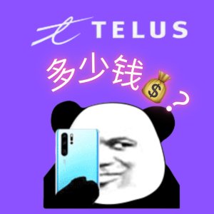 $35/月 美加通用100GB