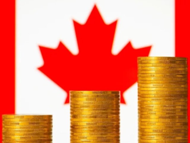 涨价通知！IRCC官宣：这些移民、...