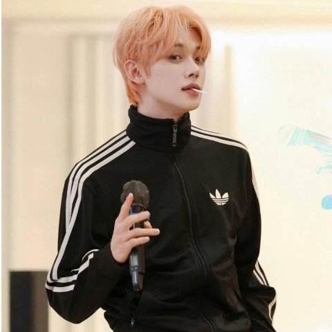 FIREBIRD 运动夹克 TRACK TOP