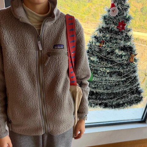 Patagonia Retro Pile 女款抓绒