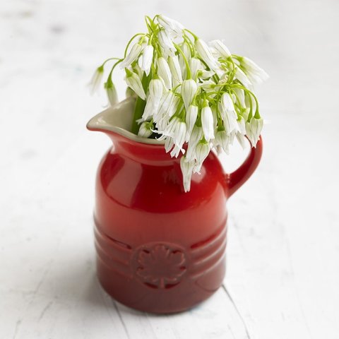 Le CreusetSyrup 玻璃糖浆瓶 1只