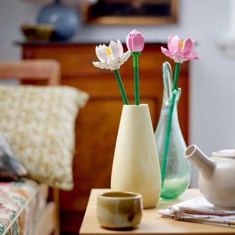 Lego2023/6/1上市荷花 40647 | Other