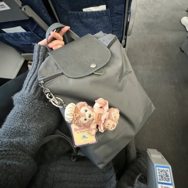 Longchamp Le Pliage M 双肩包