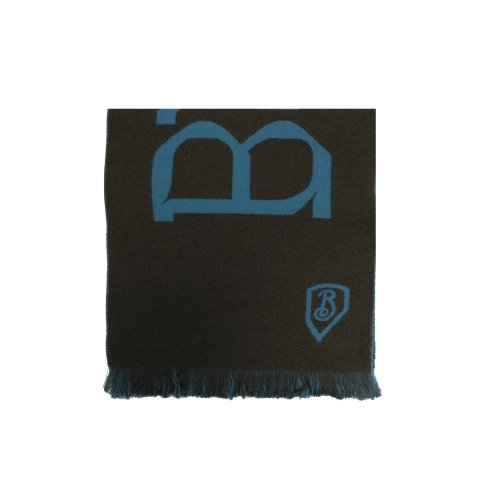 Burberry Logo 流苏围巾