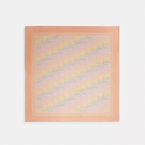 Signature 彩虹印花真丝方巾