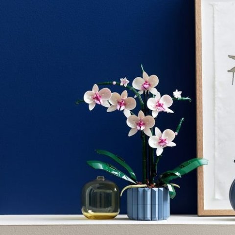 Lego兰花 10311 | ICONS