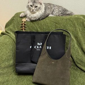 Coach大爆款Brooklyn降价！$252收