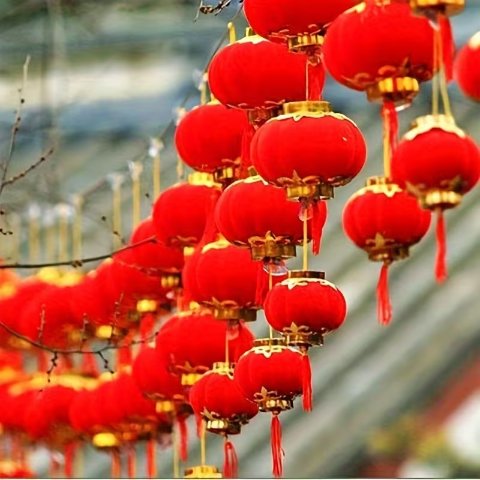 Do It Yourself 红丝绒迷你灯笼 20个 1.22英寸