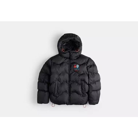 Coachtopia 羽绒服 Quilted Loop款