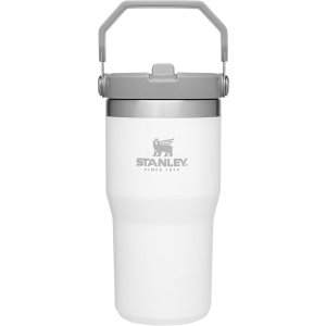 IceFlow 保温杯 20盎司