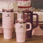 Stanley 情人节系列 💘Treat ’em all