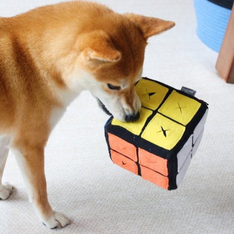 Magic Cube 狗嗅闻玩具 益智