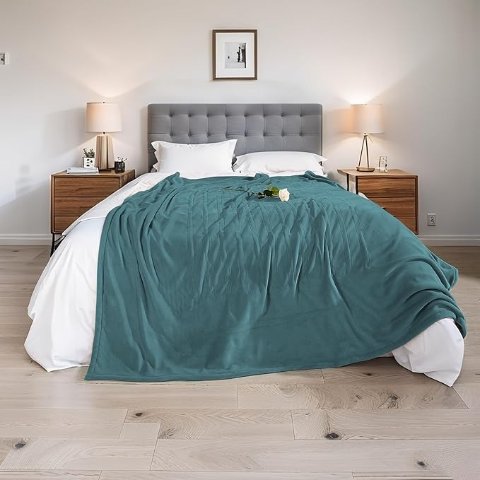 Electric Heated Blanket 湖水绿 50x60英寸