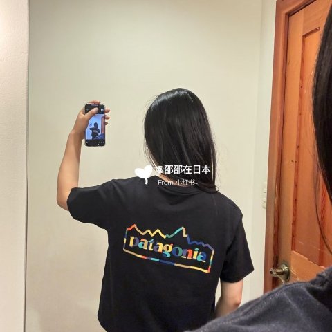 Patagonia Unity T恤 男款