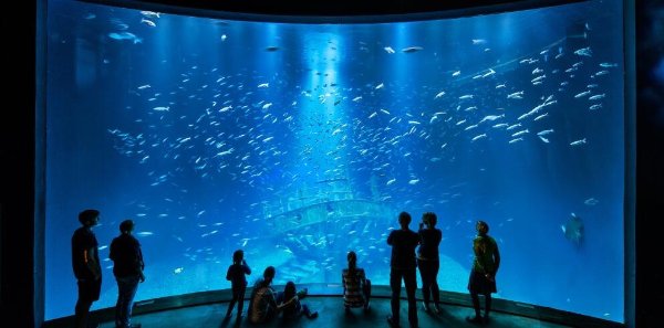 OZEANEUM 海底世界