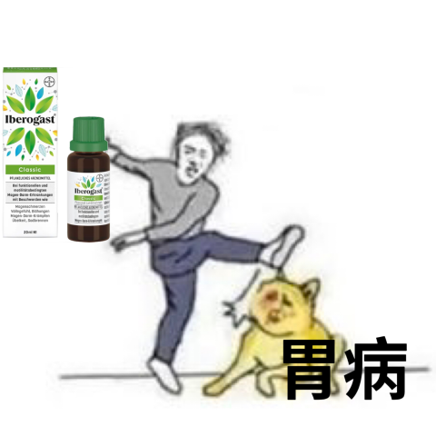 €11.99收20ml 解决老胃病Iberogast 德国胃部神仙水 排气助消化 用了就舒服