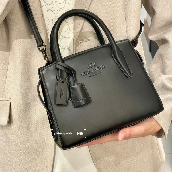 Andrea Carryall 手提包