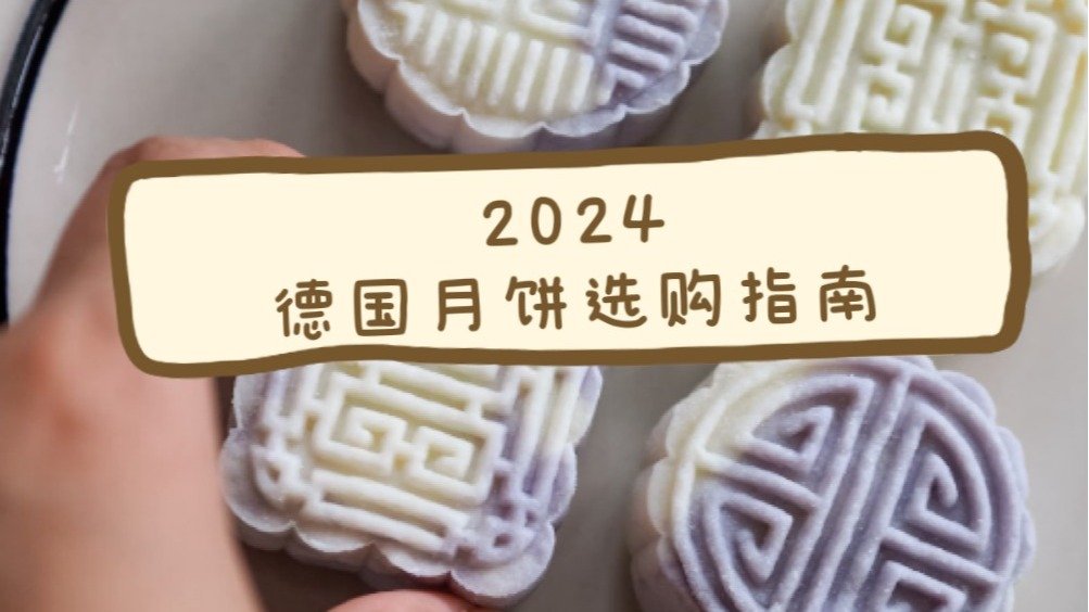 2024德国月饼选购指南 - 常见品牌/热门口味推荐+DIY自制冰皮、豆沙月饼