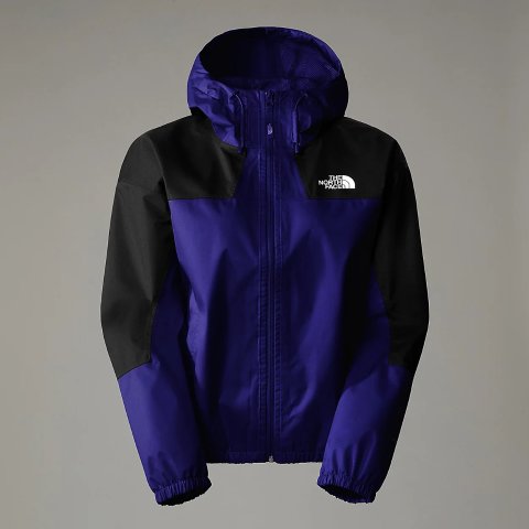 The North FaceLFS冲锋衣