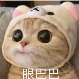 Prime Day：生活也是好起来了 🐱小猫吃上了自助餐