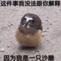 一只没法跟你解释的沙雕