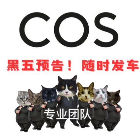 随时发车！！码住呀COS 黑五预告💥时间线出炉啦 浅浅蹲一下！！