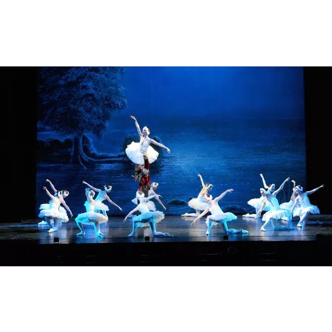 20日杜塞尔多夫天鹅湖门票