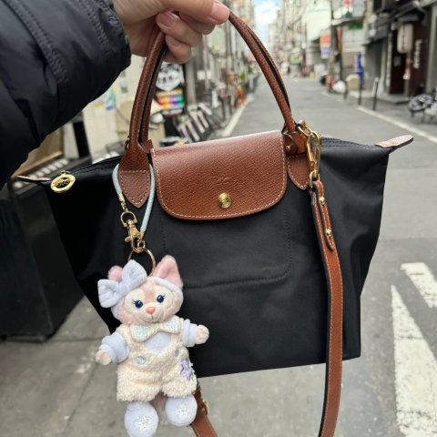 3折起！Longchamp饺子包€104德国 实用托特包 购买指南｜Tory Burch、珑骧、Coach等