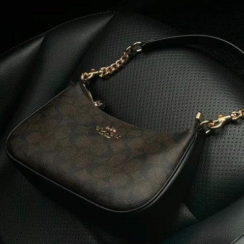 CoachTeri 迷你腋下包