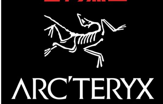 Arc'teryx 始祖鸟官网 黑五已刷新！Arc'teryx 始祖鸟官网 黑五已刷新！