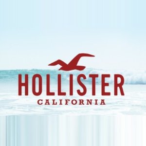 Hollister 小海鸥年终清仓💖针织外套、插肩tee、牛仔阔腿裤