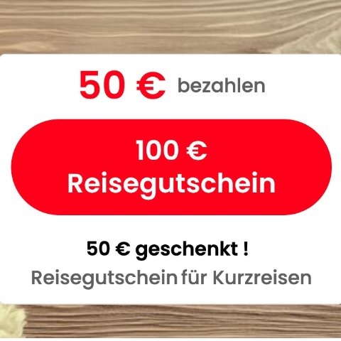 100 € 礼卡