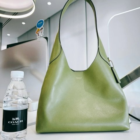 Coach青柠绿色真的炸！@叫我史黛西Brooklyn 39大号手袋