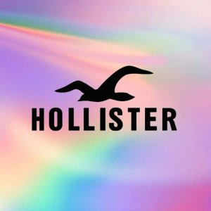 4折起！小熊熊毛衣€29Hollister 小海鸥年终清仓💖针织外套、插肩tee、牛仔阔腿裤