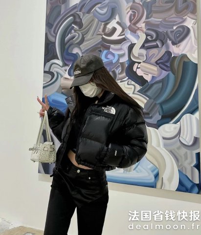 The North Face1996 女士羽绒服