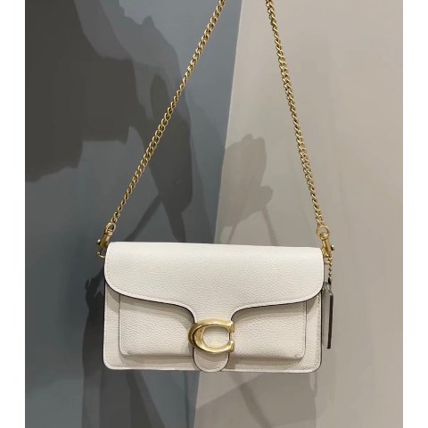 CoachTabby 链条包