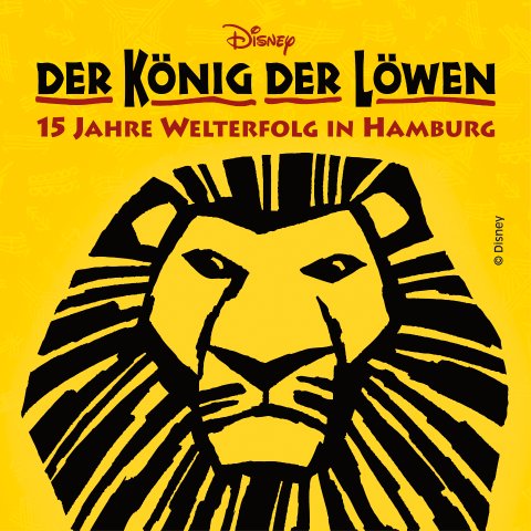 特价今天午夜截止狮子王音乐剧 套票