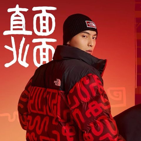 直接9折 T恤€36The North Face 蛇年限定「新年焕变」系列 德国发售‼️