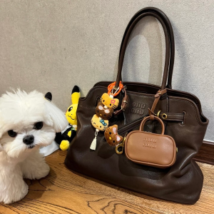 时髦的人先背Miu Miu！保龄球包、公文包💼全场解禁