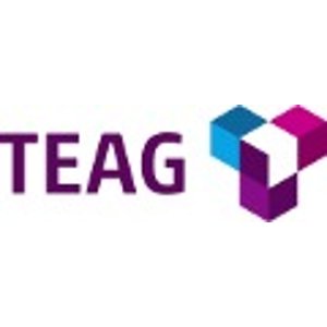 TEAG 电力合同12个月 新人返现€50+€100