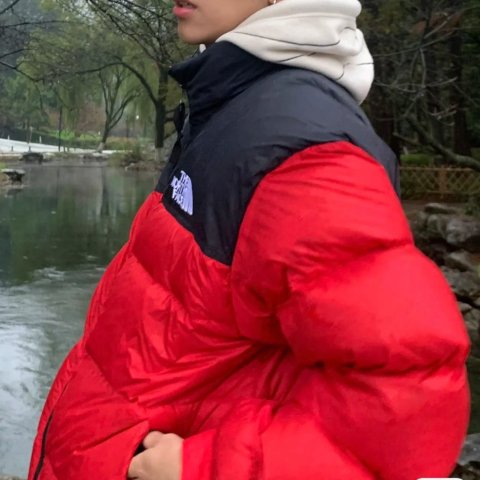 The North Face1996 Retro羽绒服