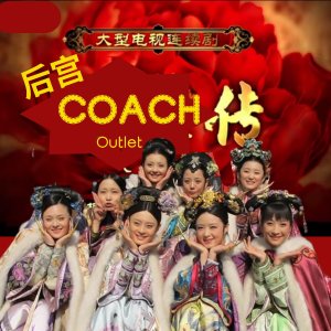 后宫新开Coach奥莱 娘娘们为抢包大打出手⁉️City托特€159