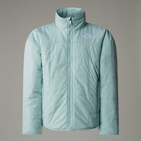 The North FaceShasta羽绒服