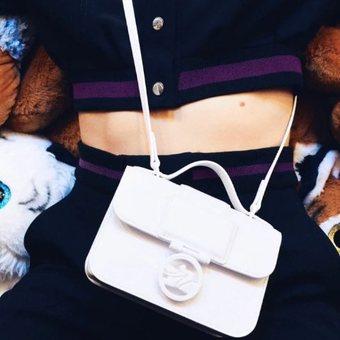 Longchamp法棍腋下包