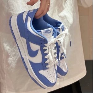 Nike官网 DUNK春日配色 男女码全💗海盐蓝、流沙奶黄包